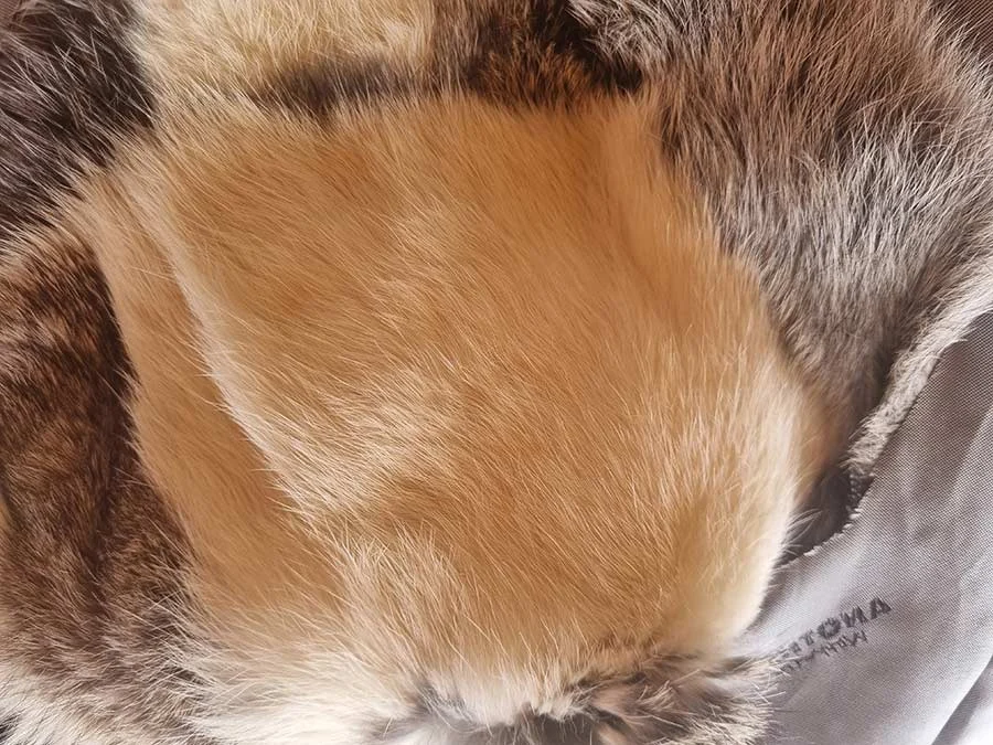 Close-up of a golden-brown fur panel edged with grey and brown fur and a grey lining