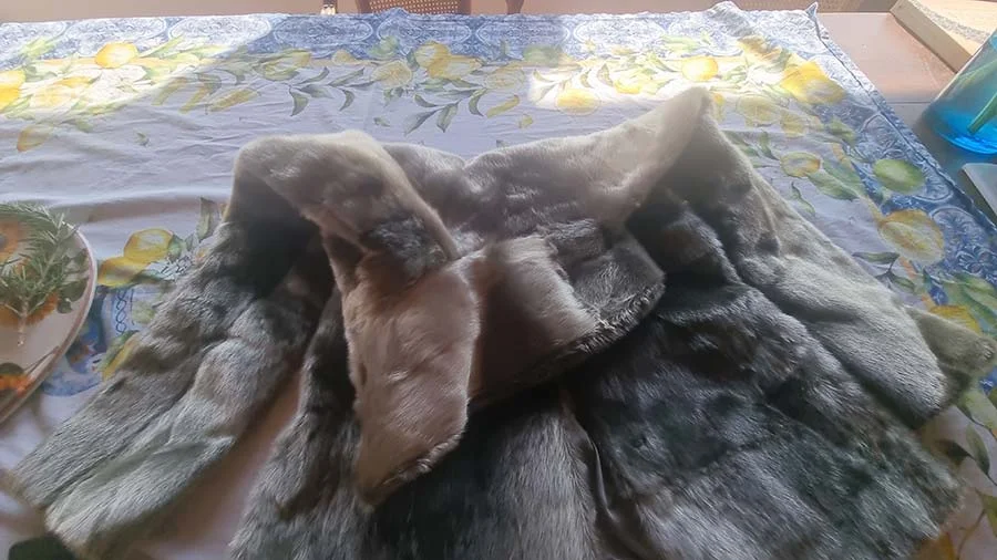 Vintage seal fur coat laid out on a tablecloth printed with lemons