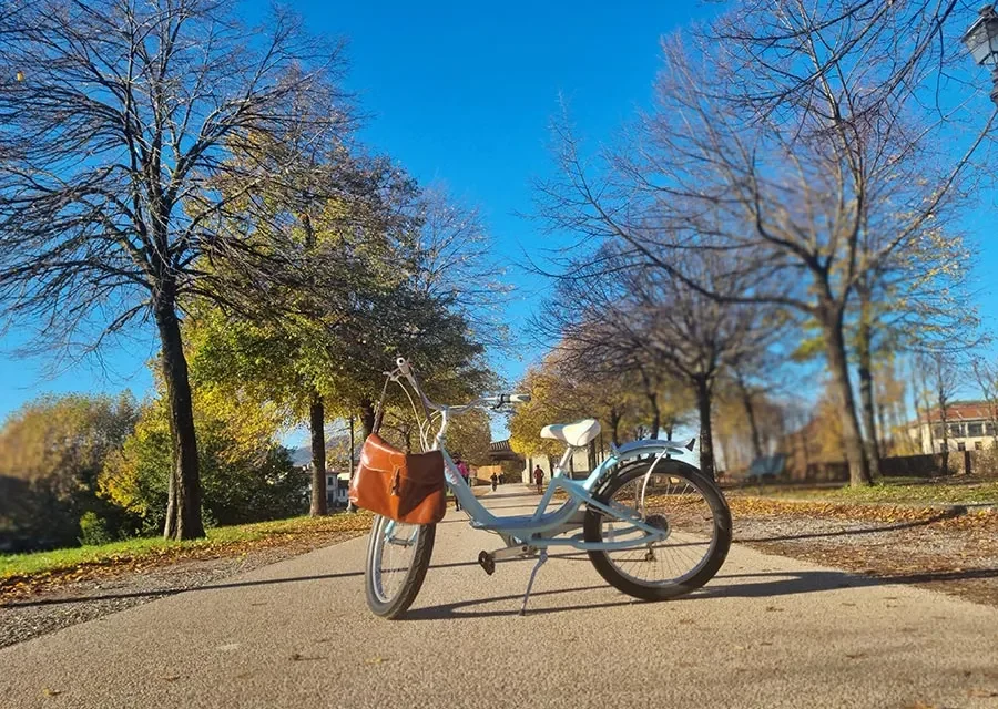 Pale blue bicycle with a tan leather bag on the front, parked on a path lined with autumn trees in Lucca