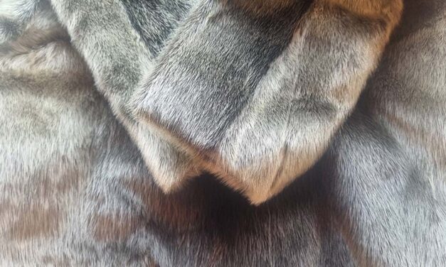 Vintage Fur: What Is Seal Fur?